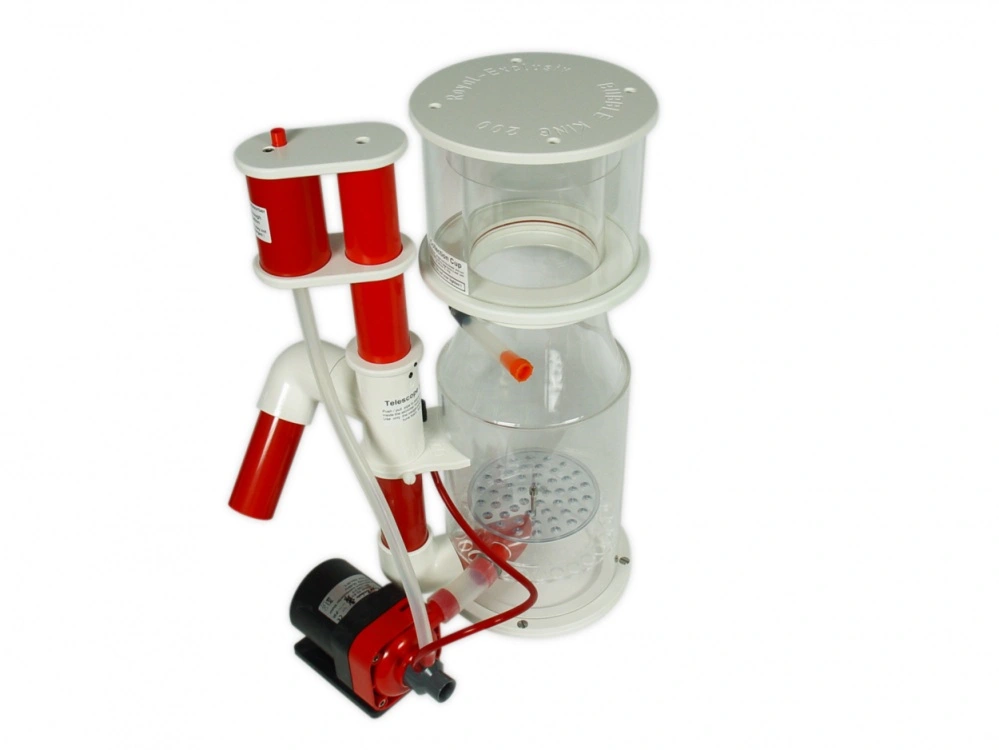Bubble King DeLuxe 200 intern skummer + RD3 Speedy